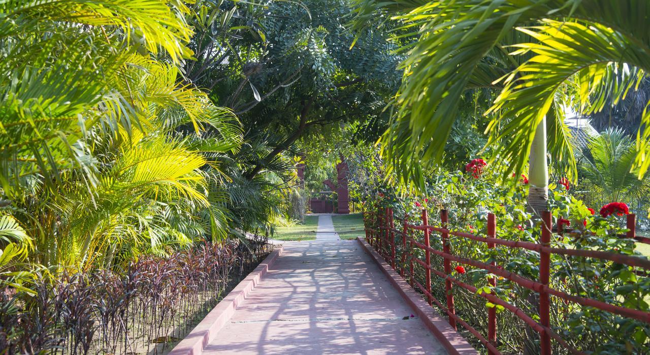 Gracious Bagan Hotel New Bagan Extérieur photo